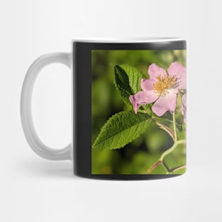 Pink Flowers in Field 2 Mug